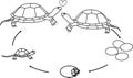 Coloring page with life cycle of European pond turtle Emys orbicularis.